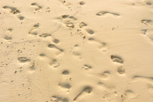 Footprints on the sand on a tropical beach