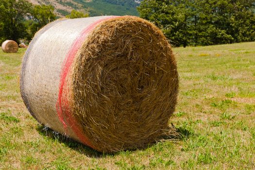 Hay bale on a grass field in a day of summer
