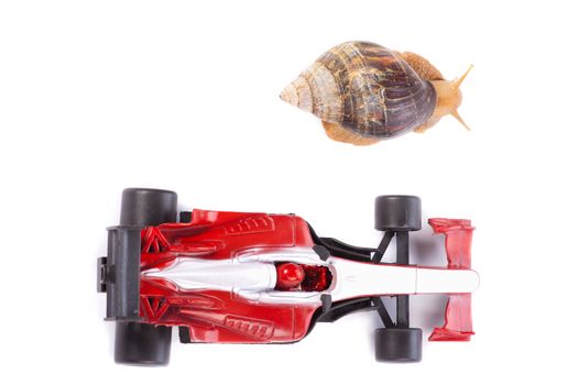 A Snail and an F1 toy car ready to race seen from above