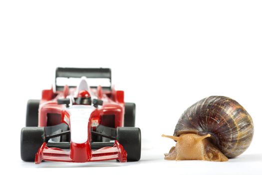 A Snail and an F1 toy car ready to race