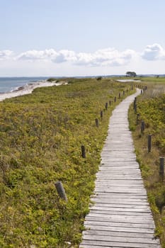 At the Baltic Sea of Howacht in Germany