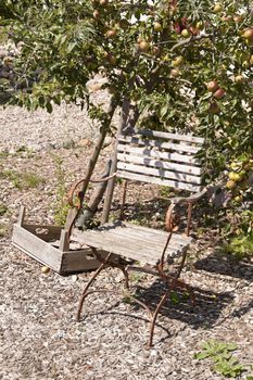 Detail of a Garden Chair