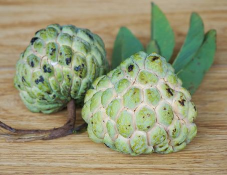 Two custard apple, have green shell placed on wooden floor.                               