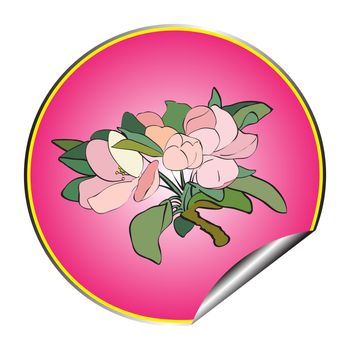 Apple tree flower purple sticker isolated on white