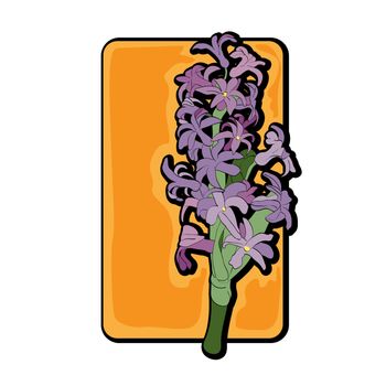 Hyacinth clip art over orage yellow label, hand drawn cartoon illustration isolated on white