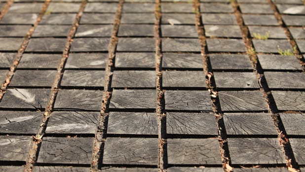 wooden paving abstract background close to 