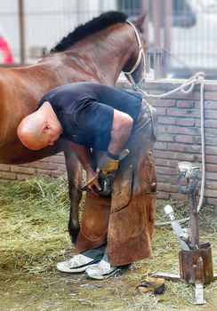 TARRASA, BARCELONA, SPAIN - MAY 08, 2011: Unidentified Horseshoer in work nailing a horse shoe to a hoof in the modernist fair held every year in the city.