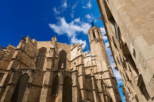 Cathedral of the Holy Cross and Saint Eulalia (Catedral de la Santa Cruz y Santa Eulalia) in Barcelona, Catalonia, Spain - 13th, 15th centuries