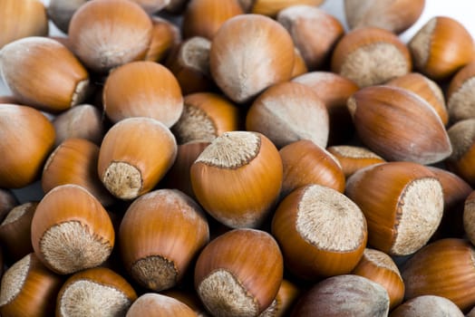 Fresh cropped hazelnuts as food background, macro image