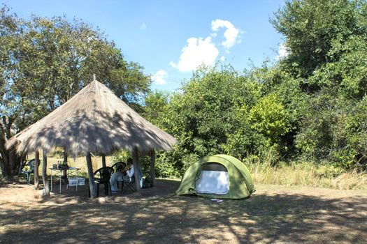 camping in the African savannah