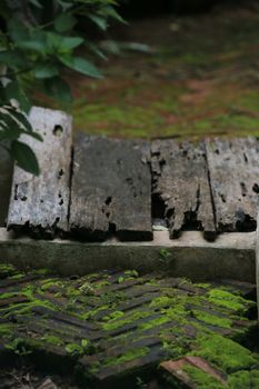 A little wooden bridge that decorate in my garden.It's decay but so beautiful,I think.