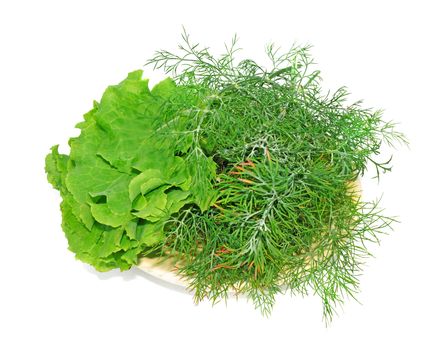 Plate with lettuce and dill isolated                               