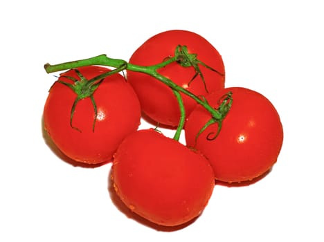 Four red tomatoes on a branch isolated on white