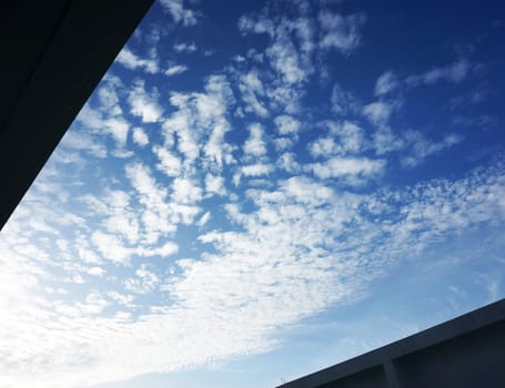 Formation of cloud on the sky are arranged 
in the same direction.                            