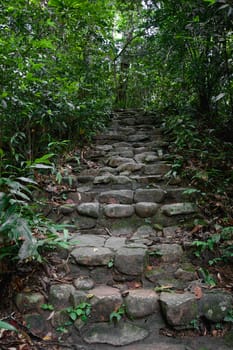 Stairway made from rock between high green tree in forest.