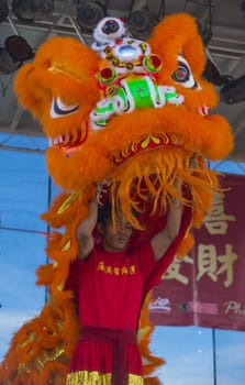 LAS VEGAS - FEB 09 : Lion dance performer during the Chinese New Year celebrations held in Las Vegas , Nevada on February 09 2014