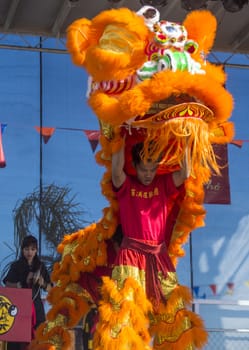 LAS VEGAS - FEB 09 : Lion dance performer during the Chinese New Year celebrations held in Las Vegas , Nevada on February 09 2014