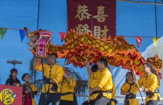 LAS VEGAS - FEB 09 : Dragon dance performers during the Chinese New Year celebrations held in Las Vegas , Nevada on February 09 2014