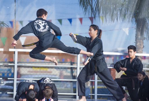 LAS VEGAS - FEB 09 : Chinese martial art performers at the Chinese New Year celebrations held in Las Vegas , Nevada on February 09 2014