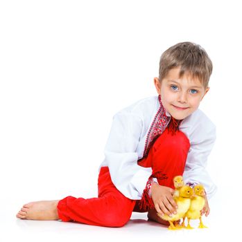 Happy little boy with cute ducklings isolated on white background