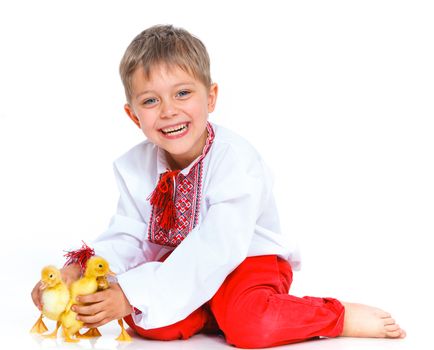 Happy little boy with cute ducklings isolated on white background