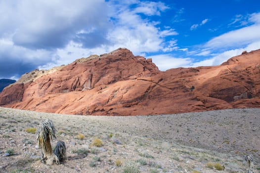  The Red Rock canyon near las vegas , Nevada.