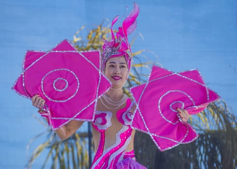 LAS VEGAS - FEB 09 : Chinese folk dancer perform at the Chinese New Year celebrations held in Las Vegas , Nevada on February 09 2014