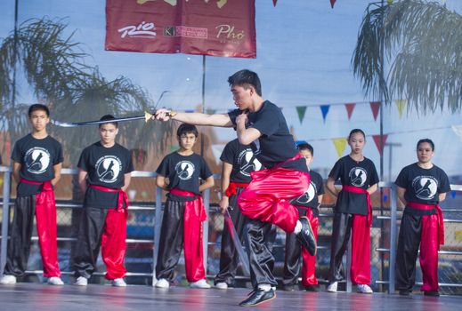 LAS VEGAS - FEB 09 : Chinese martial art performers at the Chinese New Year celebrations held in Las Vegas , Nevada on February 09 2014