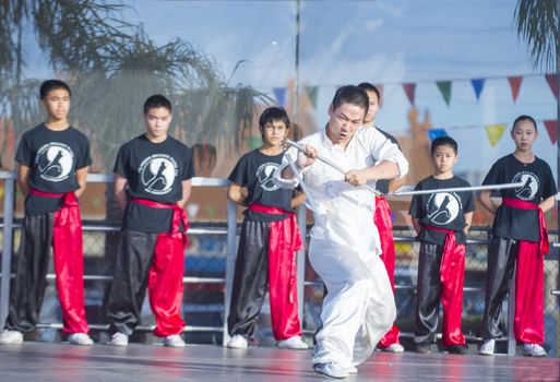 LAS VEGAS - FEB 09 : Chinese martial art performers at the Chinese New Year celebrations held in Las Vegas , Nevada on February 09 2014