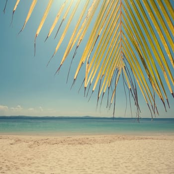 Retro vintage style summer sea view with palm leaves at Perhentian island, Malaysia