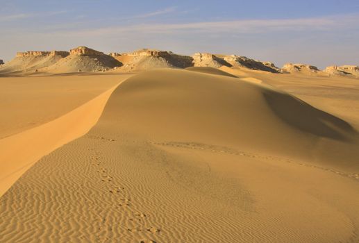 Sand dunes in Lybian desert,Egypt