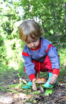 Little girl  gathers mushrooms in the forest on summer day