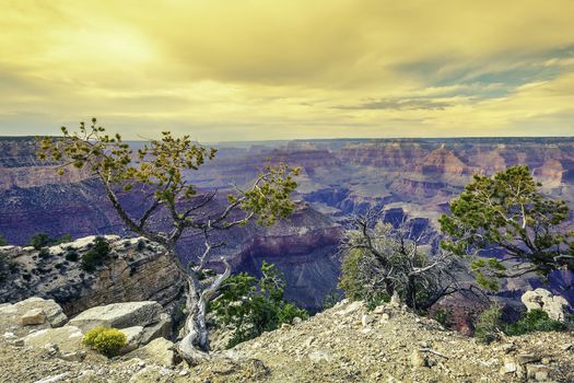 Morning light at Grand Canyon, Arizona, USA 