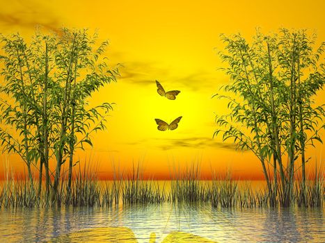 Bamboos and grass upon water by sunset with two butterflies flying - 3D render