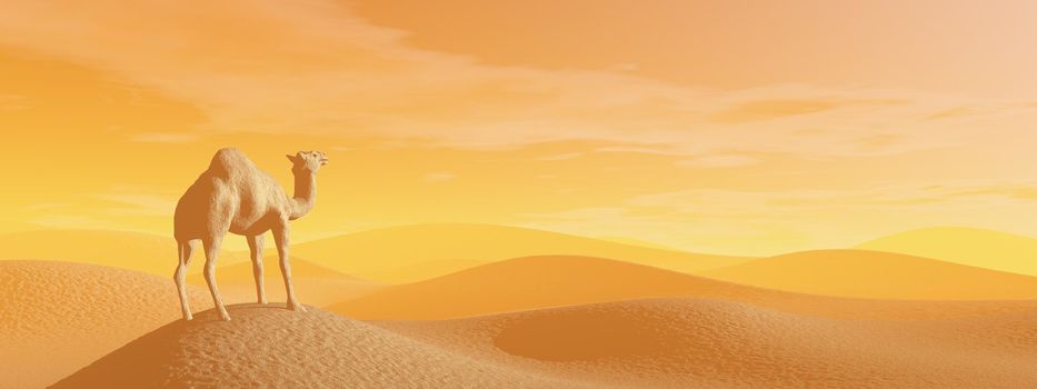 Camel standing in the desert by sunset light - 3D render