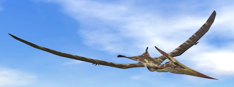 Pteranodon dinosaur flying in the blue sky with little clouds - 3D render