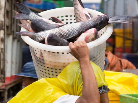 Worker carrying carp in a plastic basket at a seafood market in Yangon, Myanmar.