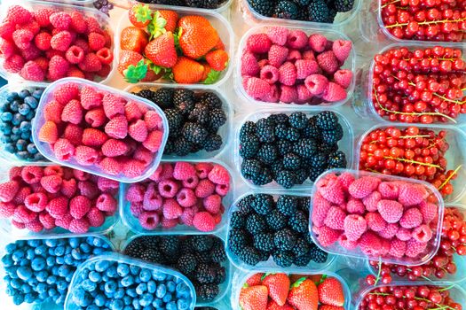 Blueberries, raspberries, strawberries, currants and blackberries in boxes formin colourful pattern.
