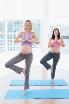Smiling pregnant women in yoga class in tree pose in a fitness studio