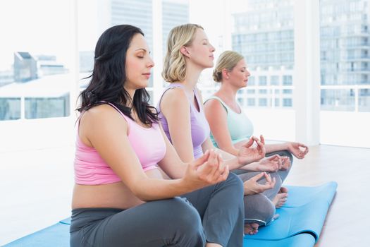 Relaxed pregnant women meditating in yoga class in a fitness studio