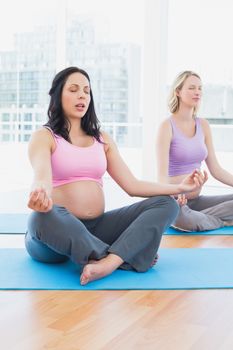 Meditating pregnant women in yoga class in lotus pose in a fitness studio