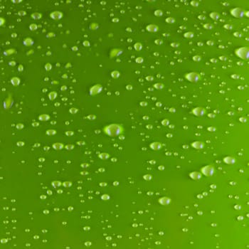 Green background full of water drops, square image