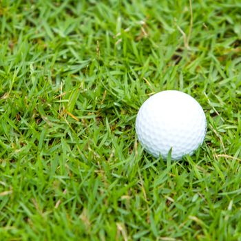 Golf ball on the green grass background