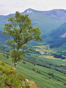 Trail  on Ben Nevis in the Scotland highlands