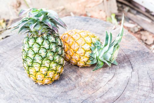 two Pineapples on wooden grunge background