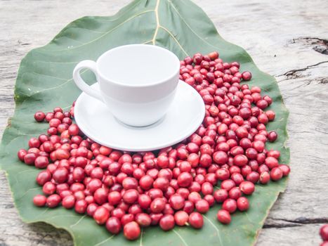 white cup on berries bean on green leaf on old wood.