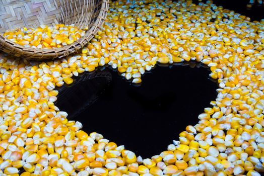Corn made ​​a heart shape on a black background.