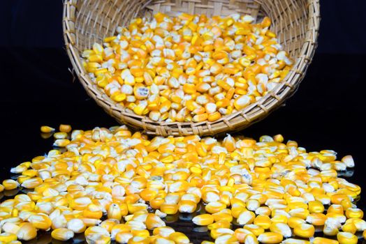 corn and corn seeds in a Basket on black background.