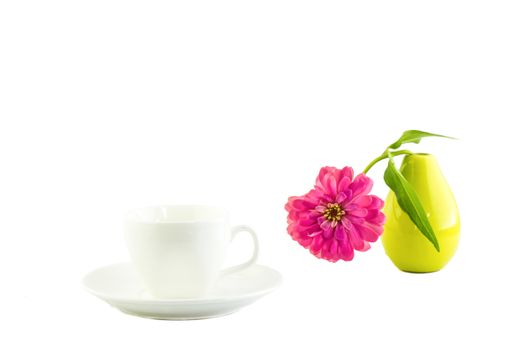 white cup and pink zinnia on a white background