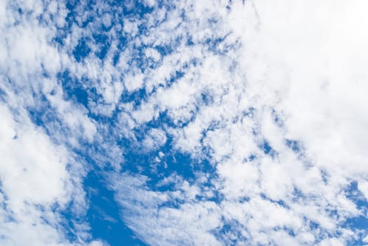 Nice white cloud on the sky